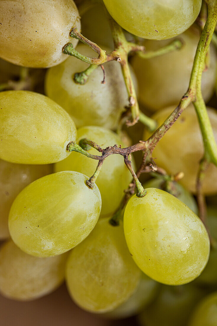 Top view full frame of brunch of fresh yellow and green grapes as background