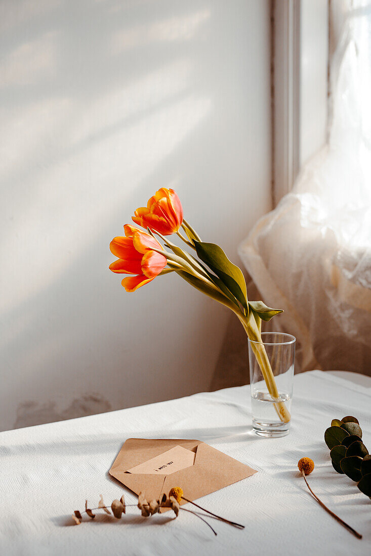 Blühende Tulpen in Wasser auf weißem Tischtuch neben geöffnetem Umschlag und Fenster