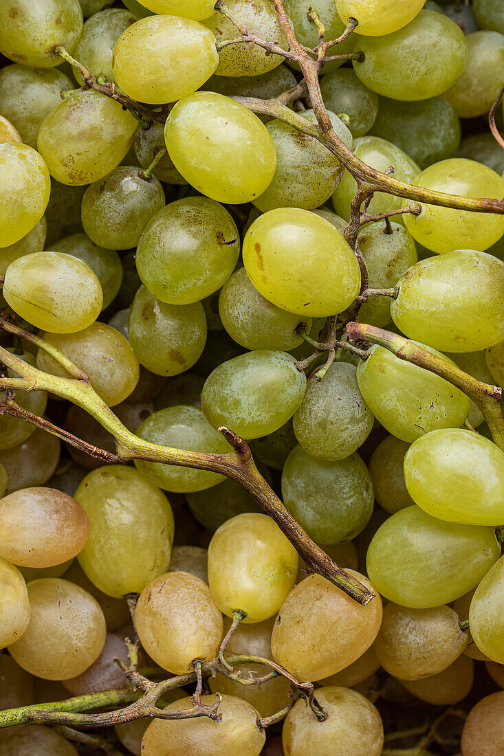 Ansicht von oben Vollbild von Brunch von frischen gelben und grünen Trauben als Hintergrund