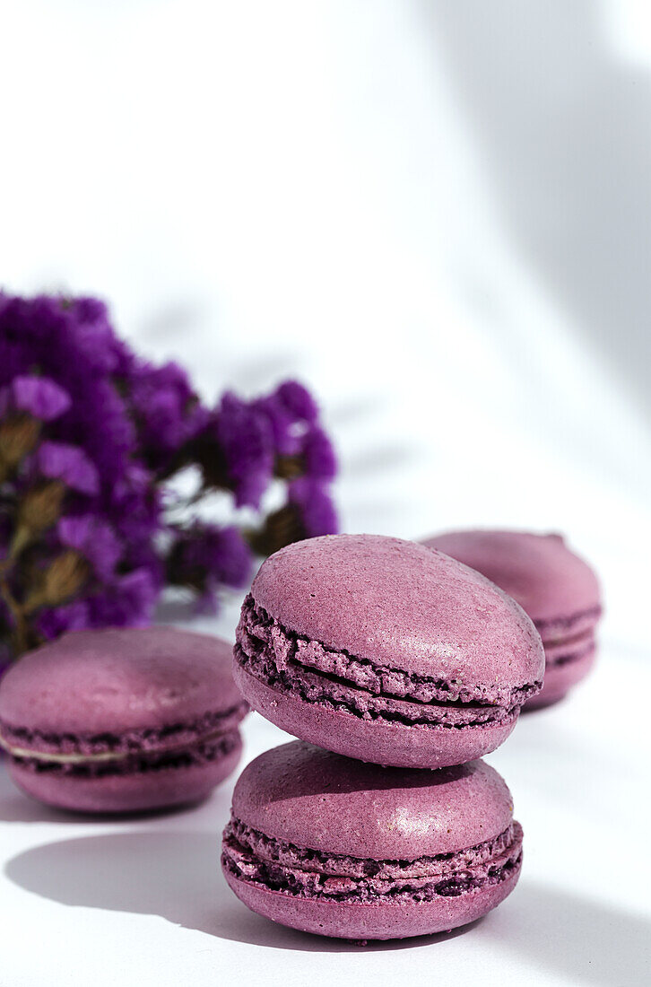 Pair of delicious sweet macaroons of purple color stacked together on sunlit table in morning