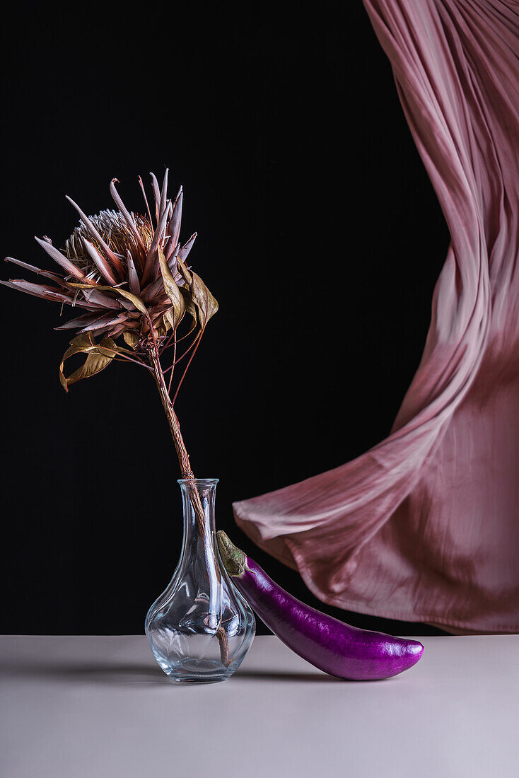 Komposition aus getrockneter Pflanze in Glasvase mit Aubergine auf Tisch vor flatterndem Vorhang auf schwarzem Hintergrund
