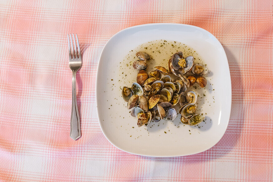Draufsicht auf köstliche Venusmuscheln, die auf einem weißen Tisch serviert werden, der auf einem Tischtuch mit einer Gabel in einer hellen Küche zu Hause steht