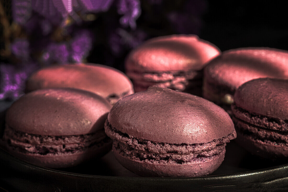 Delicious sweet macaroons of purple color together on sunlit table in morning