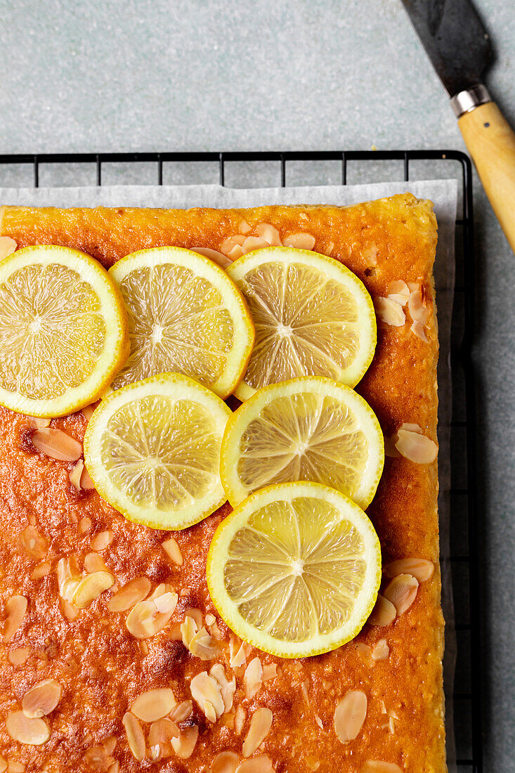 Square slice of tasty homemade lemon cake placed on metal rack in kitchen on grey background