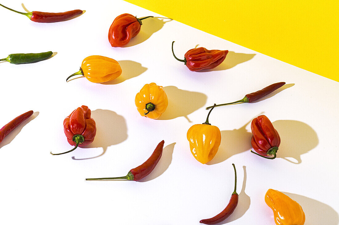 Hoher Blickwinkel auf verschiedene Arten frischer reifer Paprika, die in Reihen angeordnet sind und Schatten auf einen zweifarbigen Hintergrund werfen