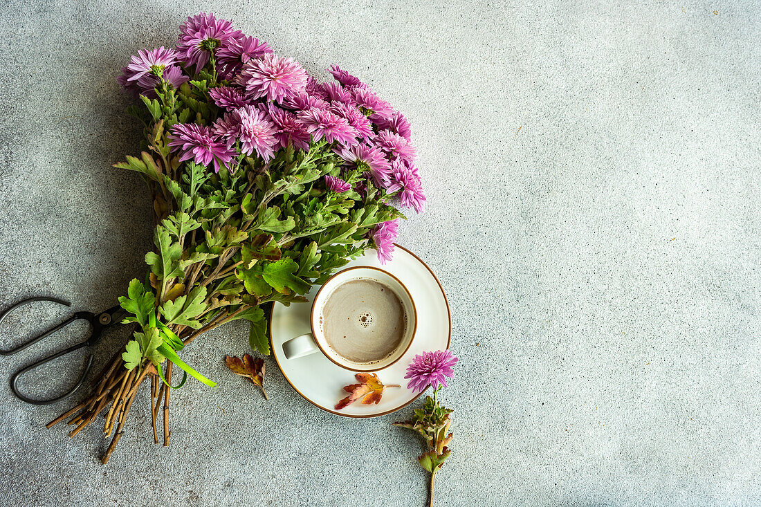 Tasse mit Milchkaffee und herbstlichen lila Chrysanthemenblüten auf Betontisch