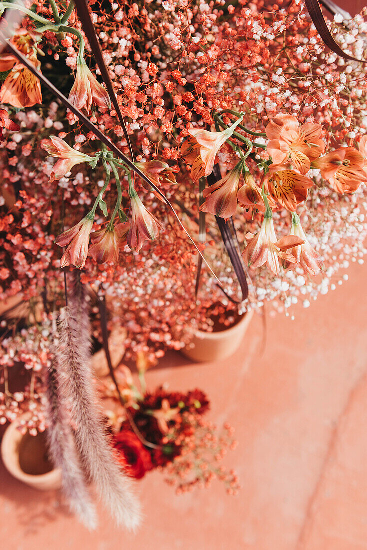 Von oben Komposition aus Tontöpfen mit blühenden Rosen, Schleierkraut und Ziergras im Sonnenlicht auf rotem Boden