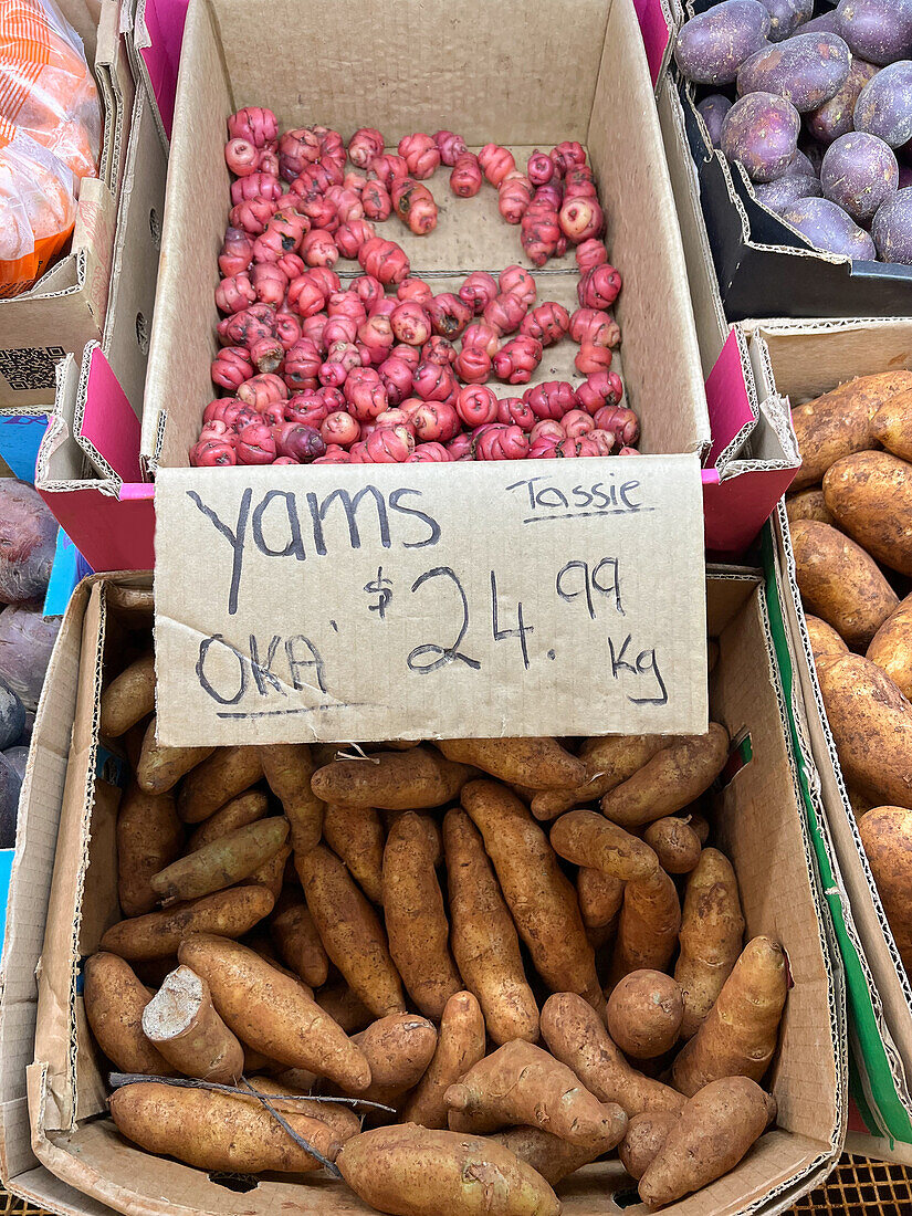 Draufsicht auf rohe Süßkartoffeln und frische rote Oca in einer Kartonschachtel an einem Stand auf einem lokalen Markt