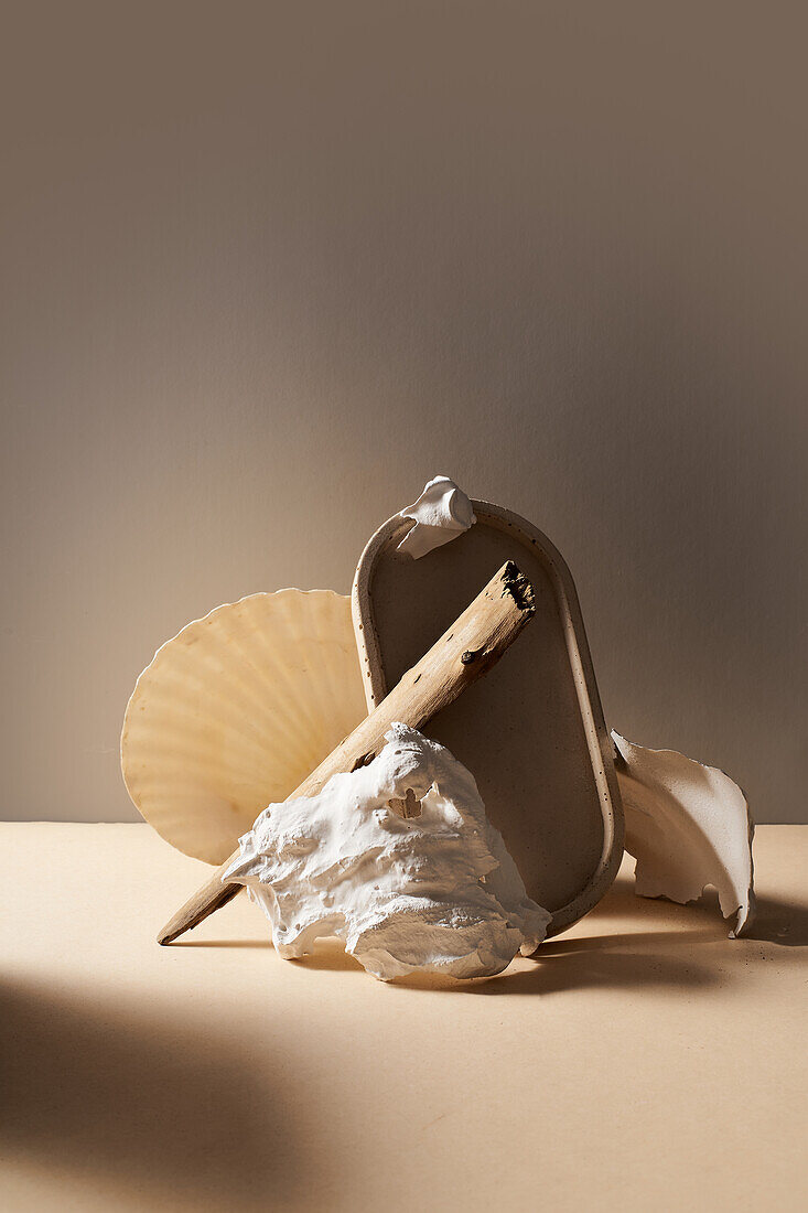 Seashell near glass mirror with wooden stick and white stone placed on table against gray background in light modern studio