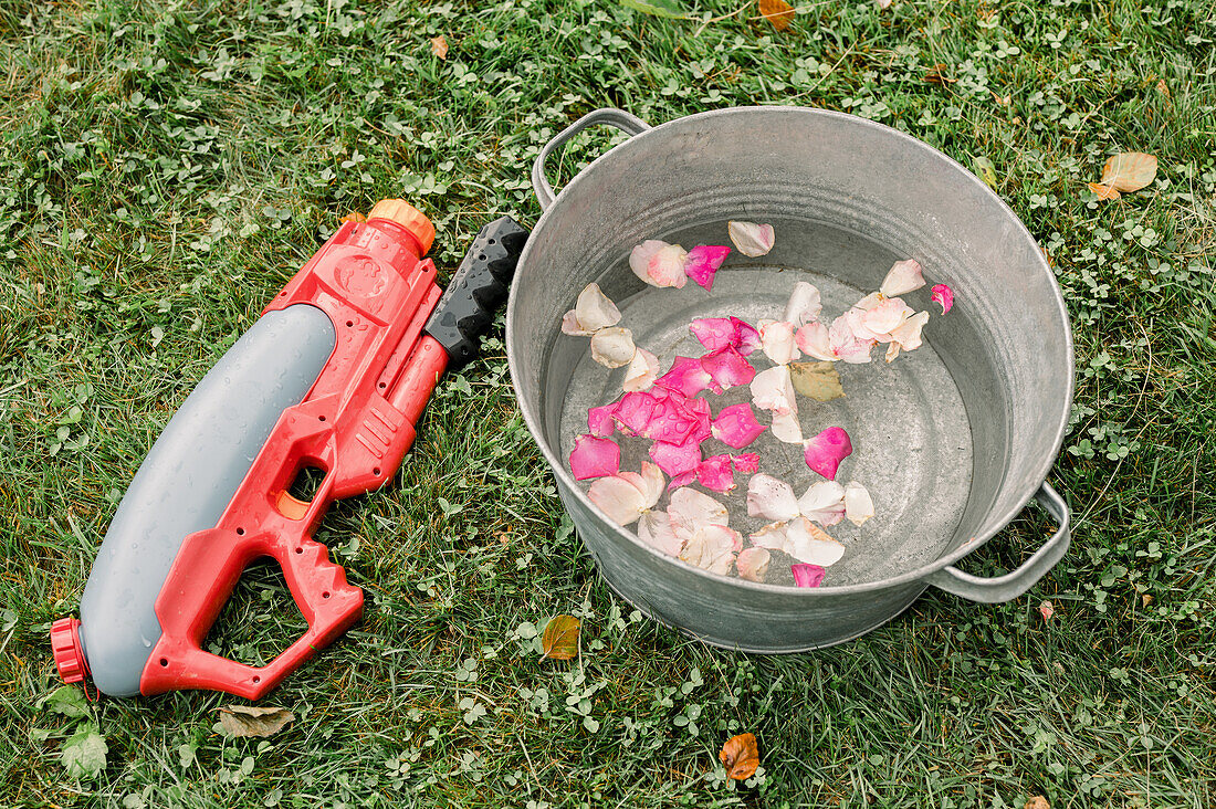 Blick von oben auf Blütenblätter einer frischen rosafarbenen Rose, die in einem Metallbecken neben einer Plastikspielzeug-Wasserpistole auf einer Wiese im Wasser schwimmen