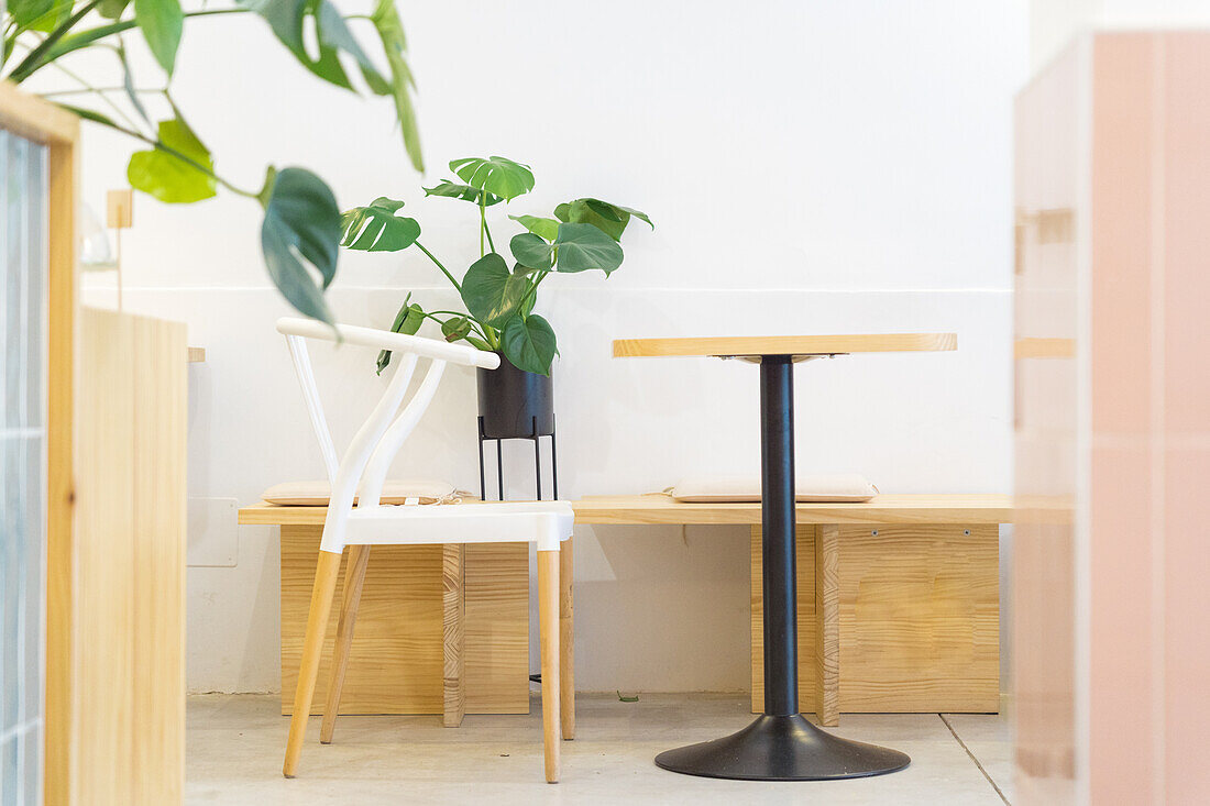 Runder Holztisch und weißer Stuhl an der Wand neben grünen Topfpflanzen in einer hellen, modernen Cafeteria mit dekorativen Elementen