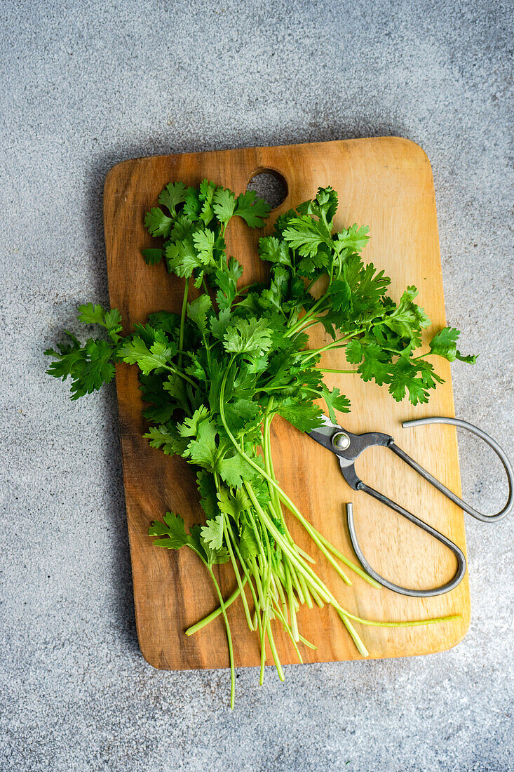 From above fresh coriander herb on wooden cutting board