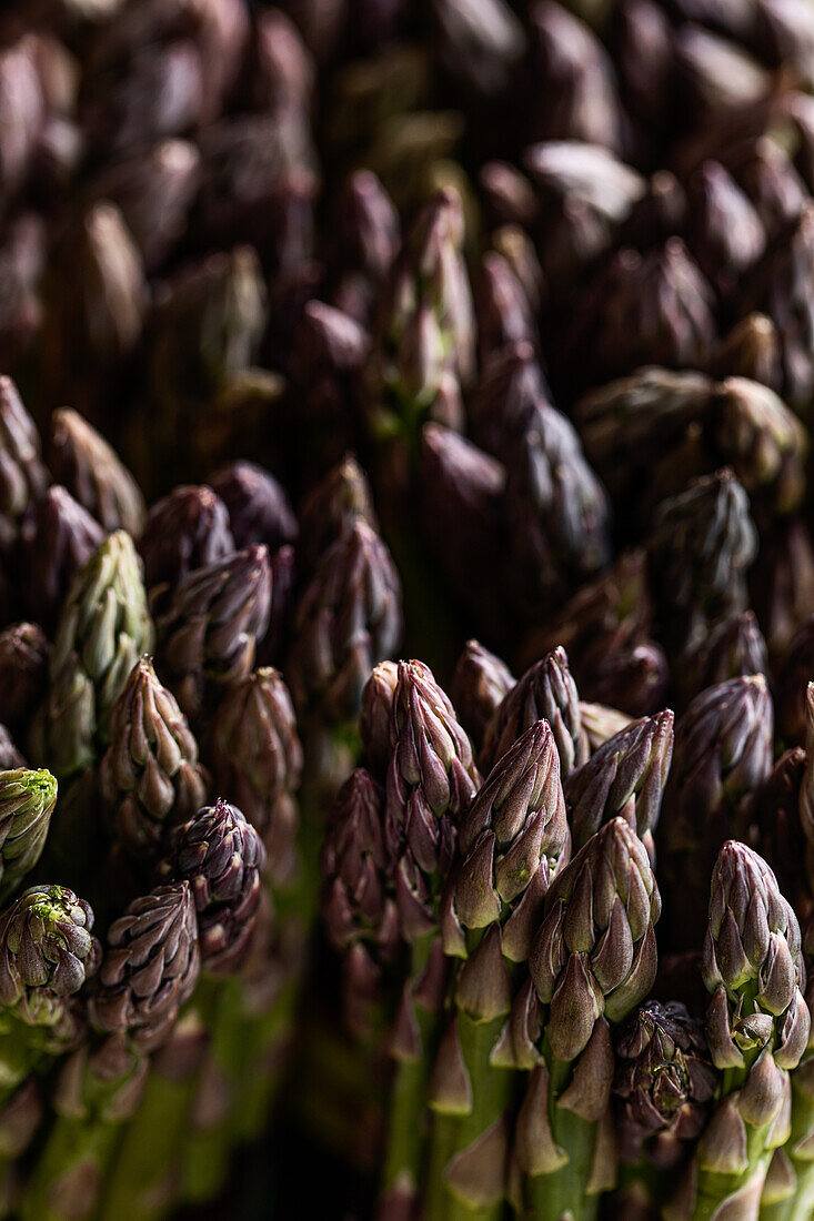 Raw unpeeled growing purple asparagus with green stems pressed tightly against each other