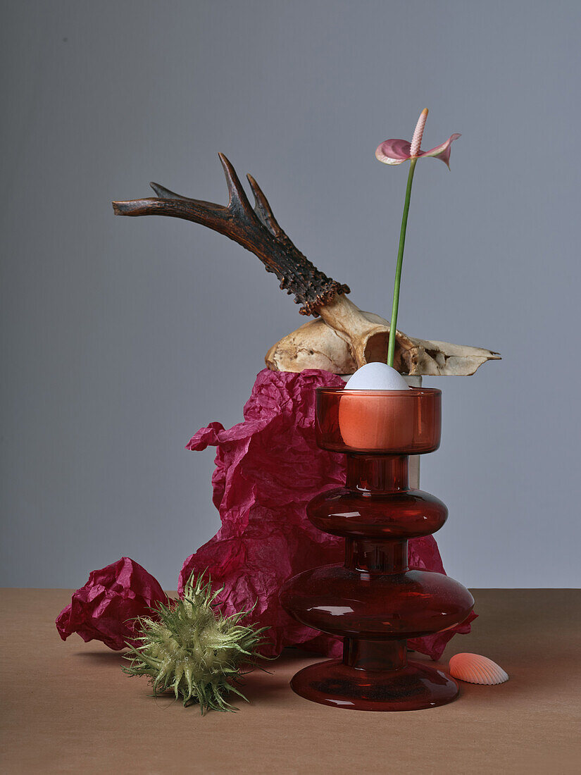 Still life with a skull, red paper and a flower