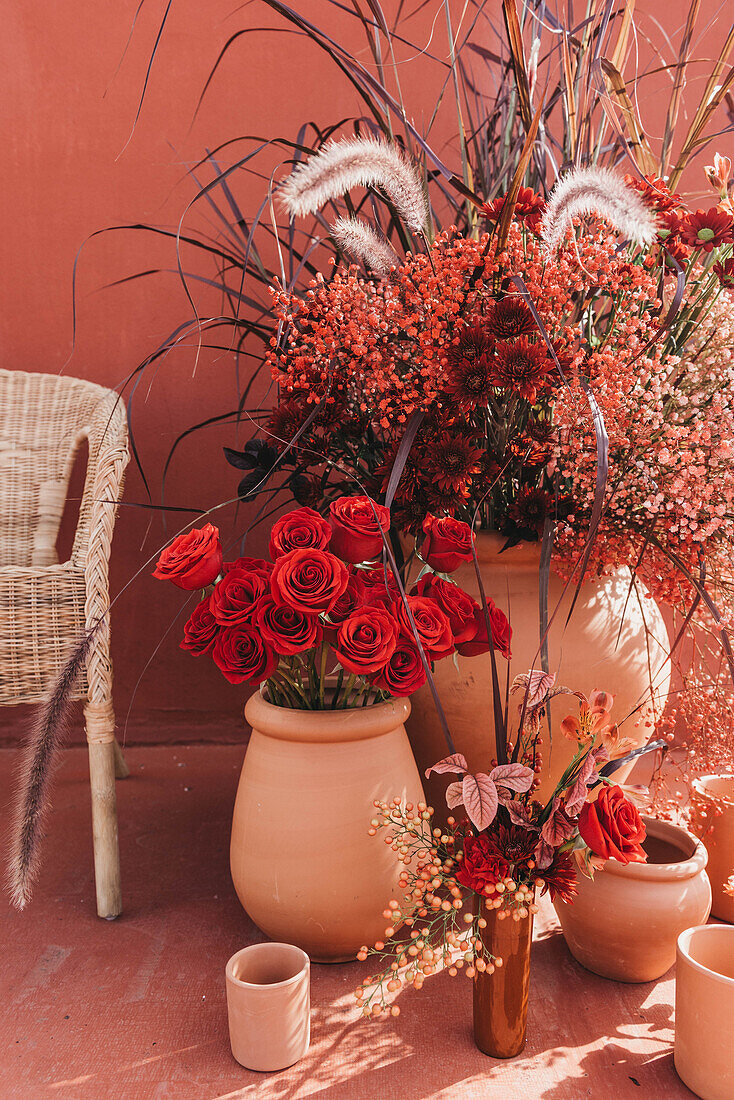 Composition of clay pots with blooming roses gypsophilia flowers and decorative grass at sunlight near red wall and a white chair