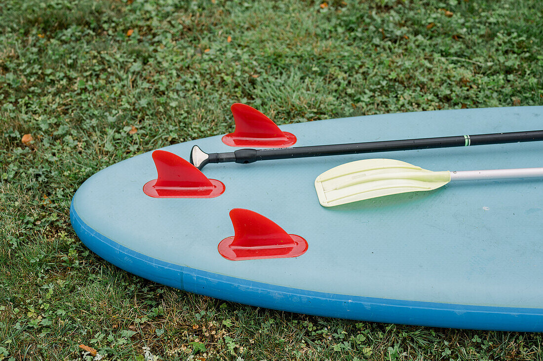 From above of paddle on blue SUP board with red fins placed on grassy lawn in nature