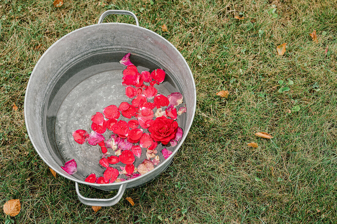 Blick von oben auf Blütenblätter einer frischen roten Rose, die im Wasser eines Metallbeckens auf einer Wiese schwimmen