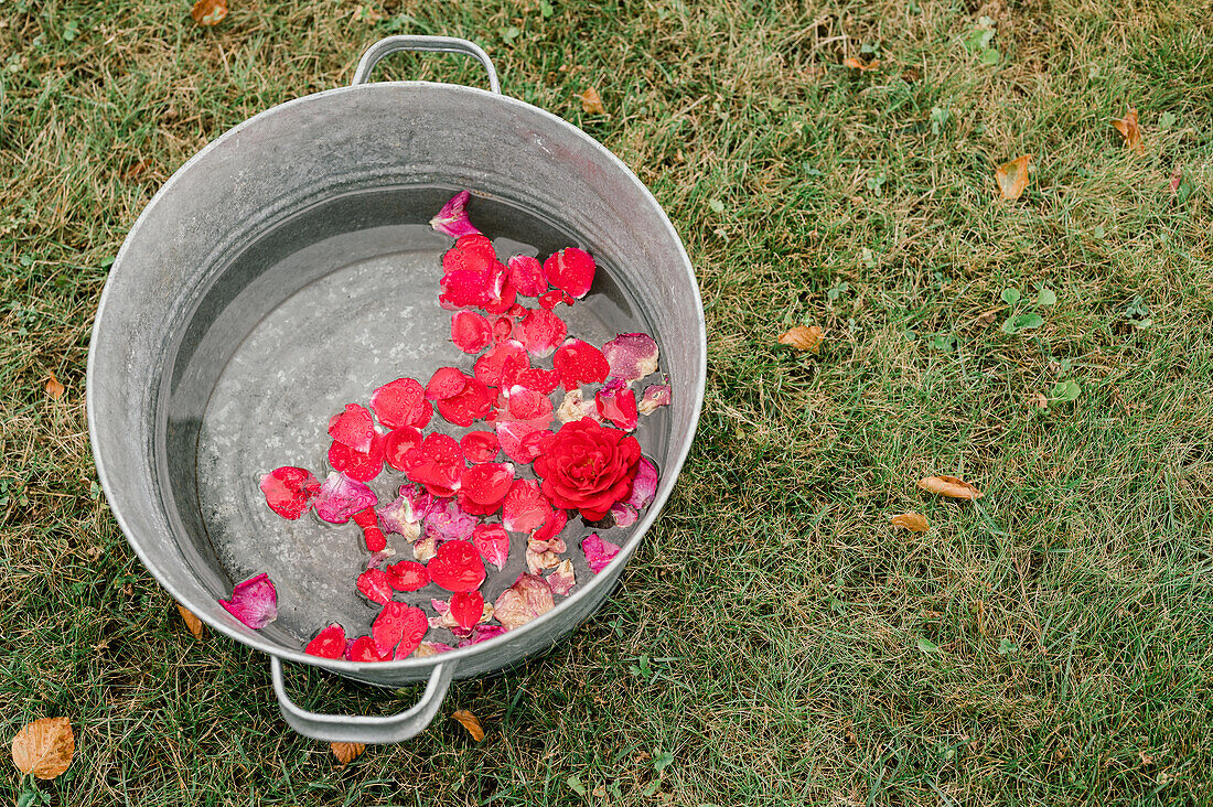 From above of petals of fresh red rose floating in water in metal basin placed on grassy meadow