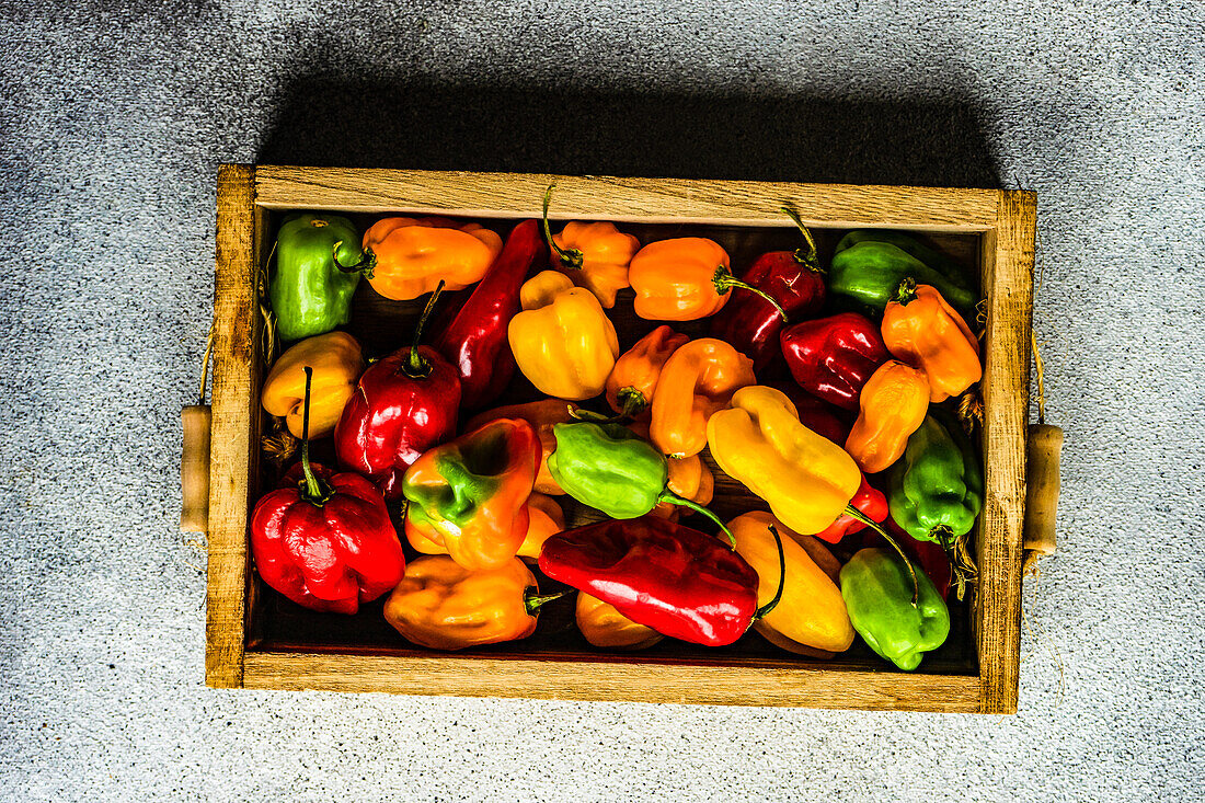 Von oben Holzkiste mit Bio-Paprika auf dem Betonhintergrund