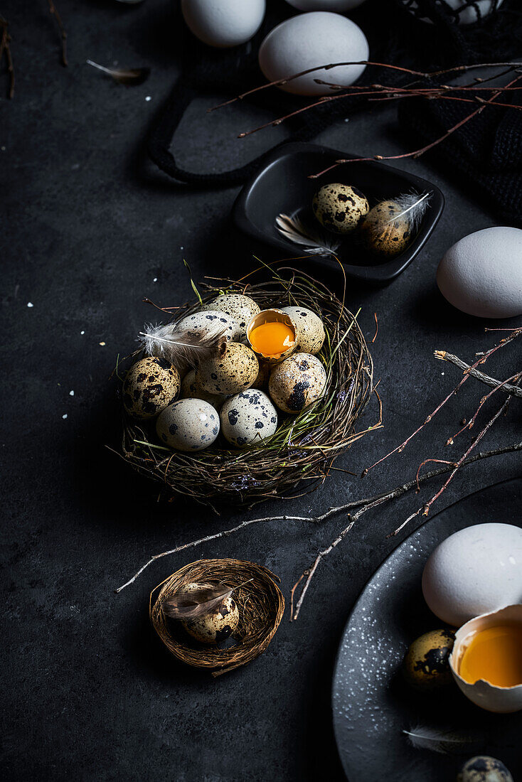 Von oben Komposition von rohen Hühnereiern auf Tellern und Wachteleiern im Nest auf schwarzem Hintergrund