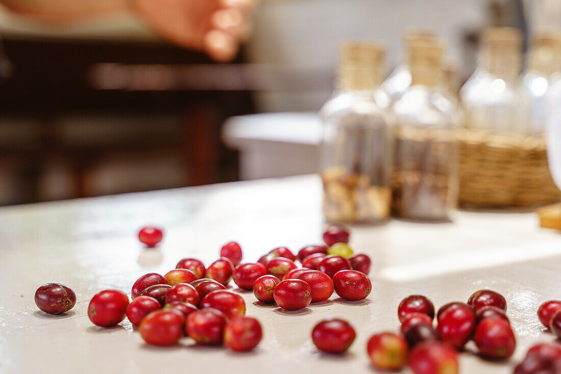 Fresh coffee berries on table against plastic bottles