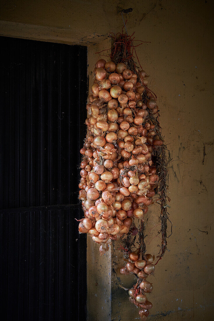 Ein Bündel roher gelber Zwiebeln mit trockener Schale hängt an einer rauen Wand in einem alten Gebäude