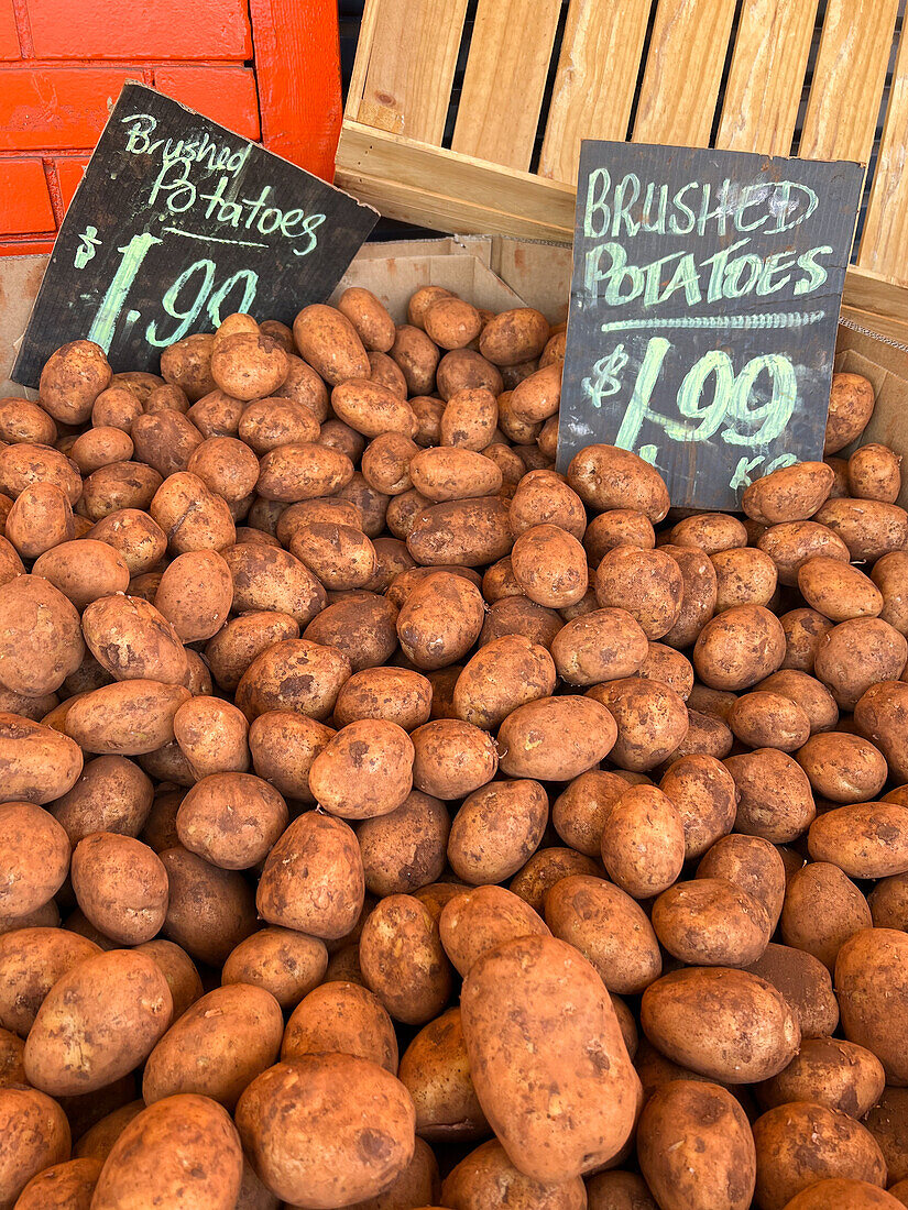 Von oben viele gebürstete Kartoffeln in einer Kiste mit Preis auf einem Stand auf einem lokalen australischen Markt