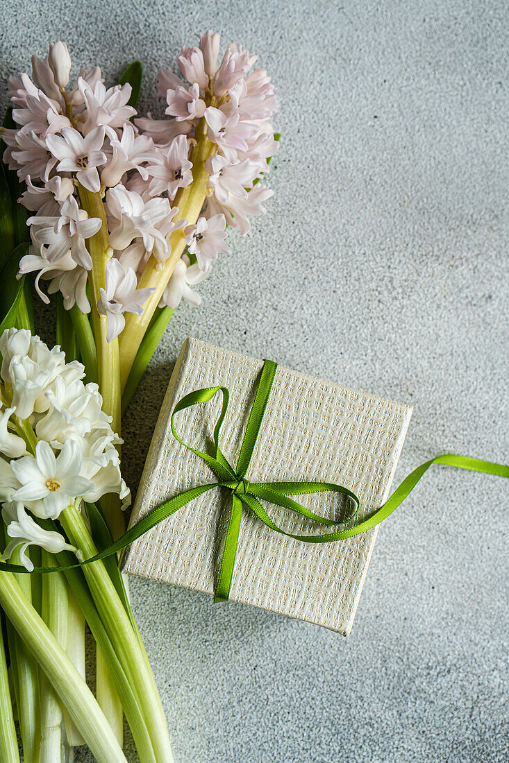 From above flat lay of hyacinth flowers near gift box with ribbon on concrete background
