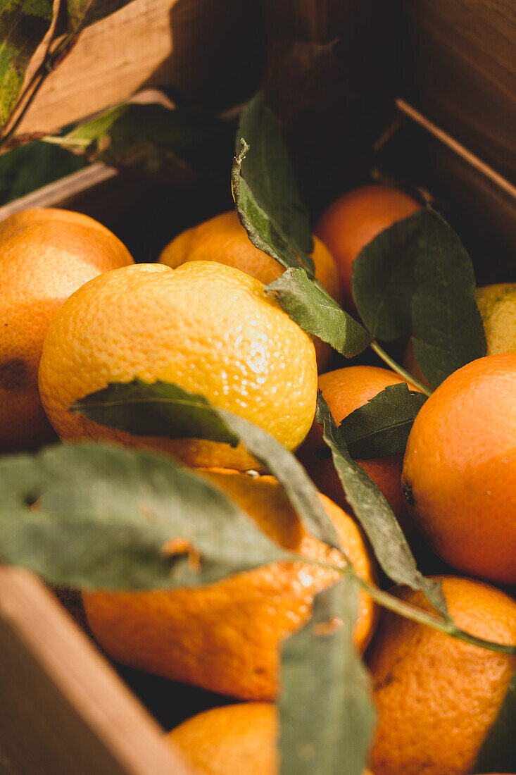 From above brown wooden crate with ripe juicy vivid oranges in composition with green leaves in garden