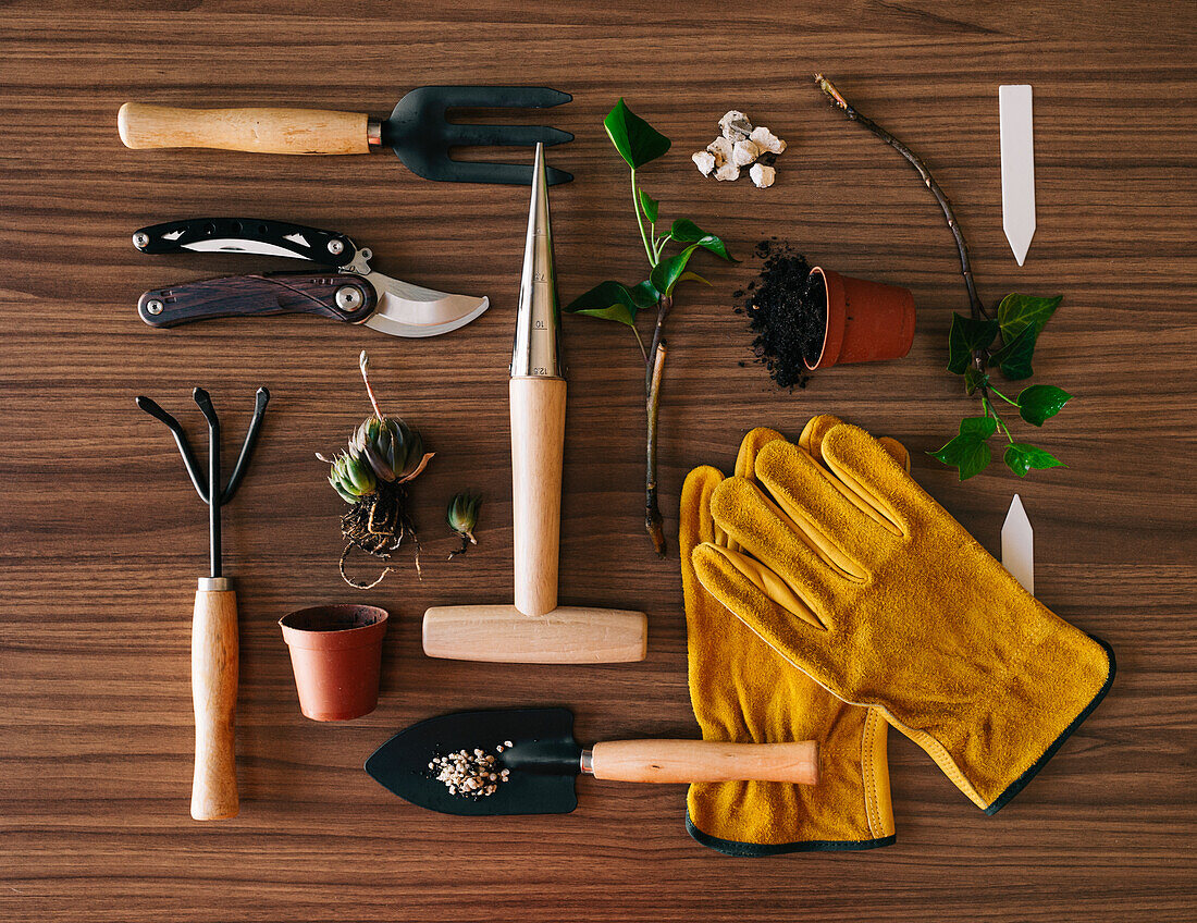 Flachbild von kleinen Gartengeräten mit Handschuhen und Blumentopf mit Pflanzen auf Holztisch
