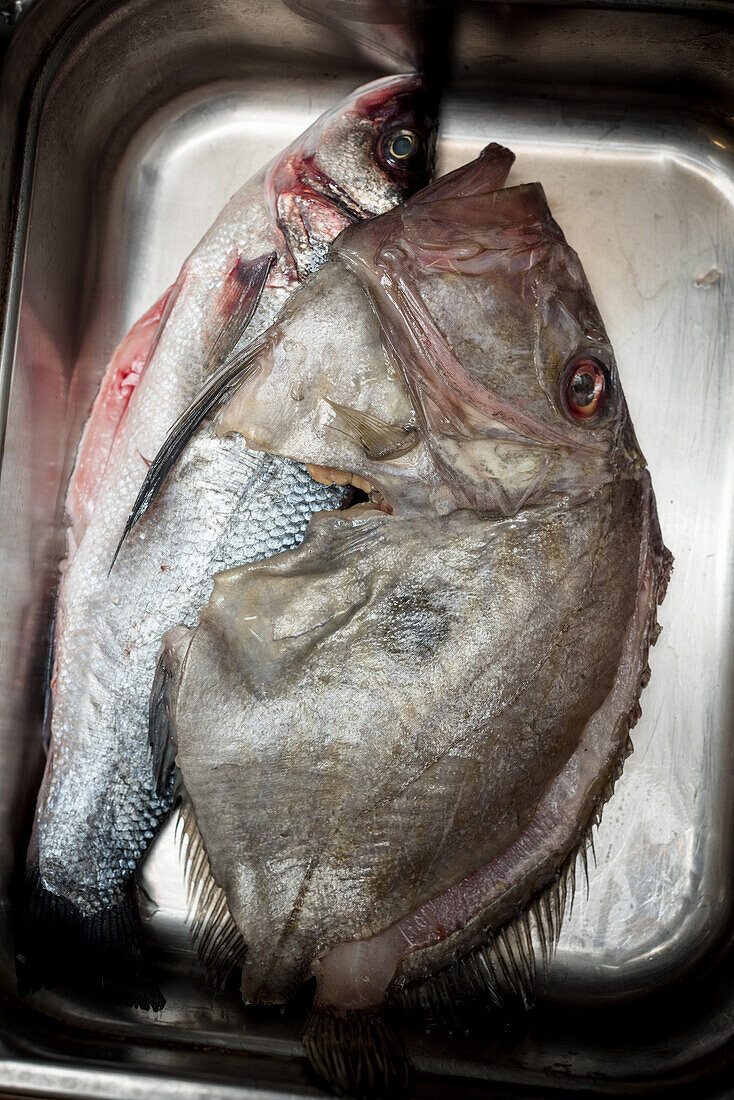 Ansicht von oben von rohem, frischem John Dory Fisch in einem Metalltablett in der Küche eines Restaurants