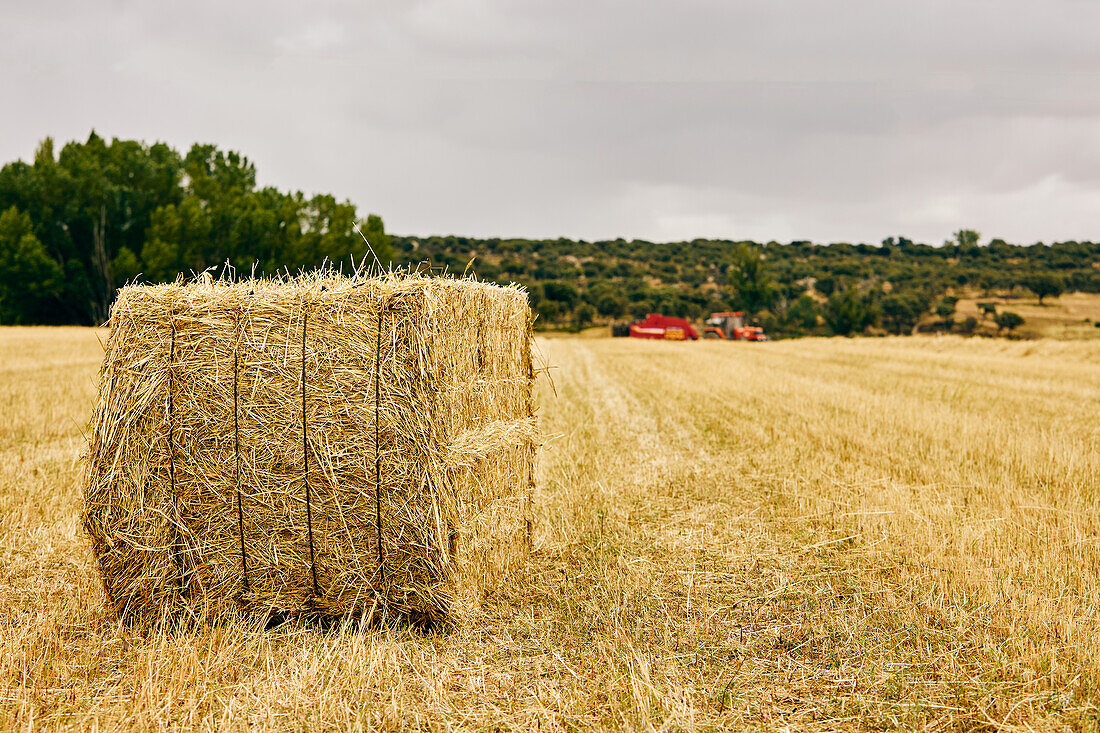 Dried hay roll and modern tractor placed on agricultural field in mountainous area in summer