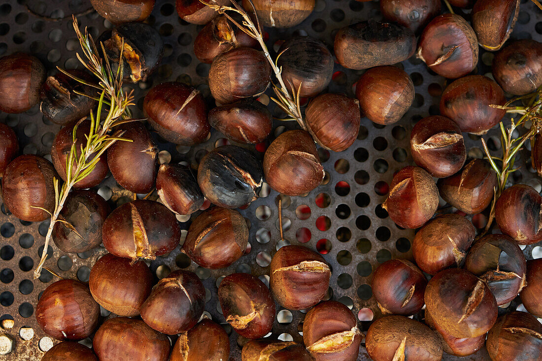 From above closeup of pile of fresh chestnuts on metal tray near dry leaves on soil in autumn forest