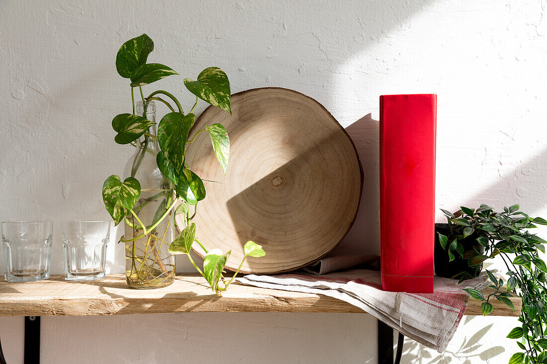 Grüner Setzling einer Zimmerpflanze in einer Glasflasche mit Wasser auf einem Holzregal mit Buch an einer weißen Wand in der Küche