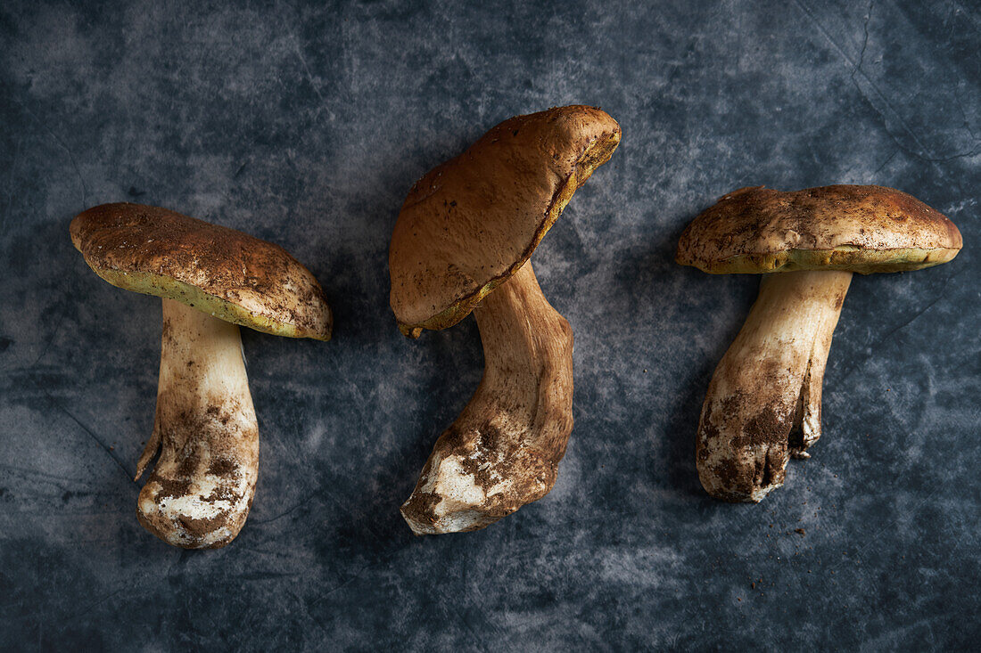 Top view of fresh raw Boletus edulis with thick stems and caps placed on marble gray background in light room