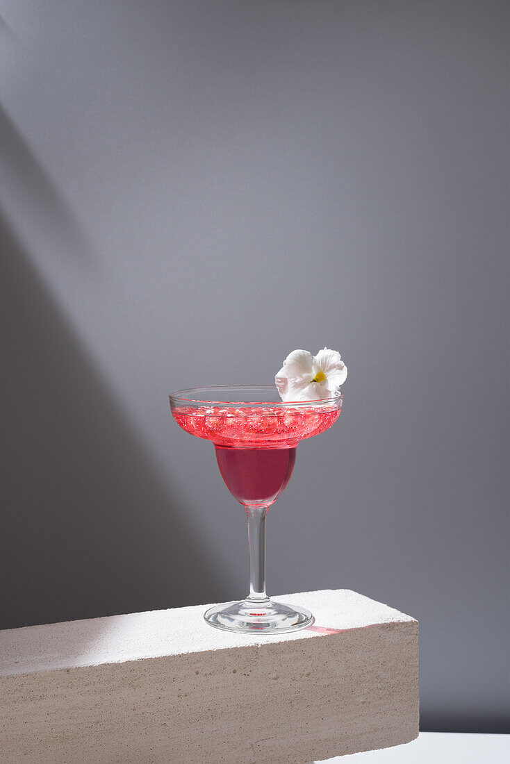 Crystal glass of pomegranate margarita cocktail served with flower blooms on concrete blocks in studio