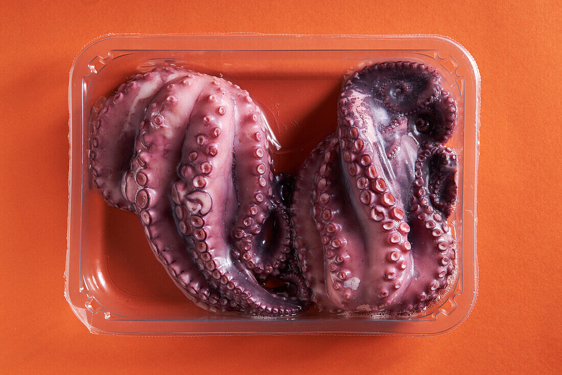 Top view of raw pink octopus placed in plastic box on orange background