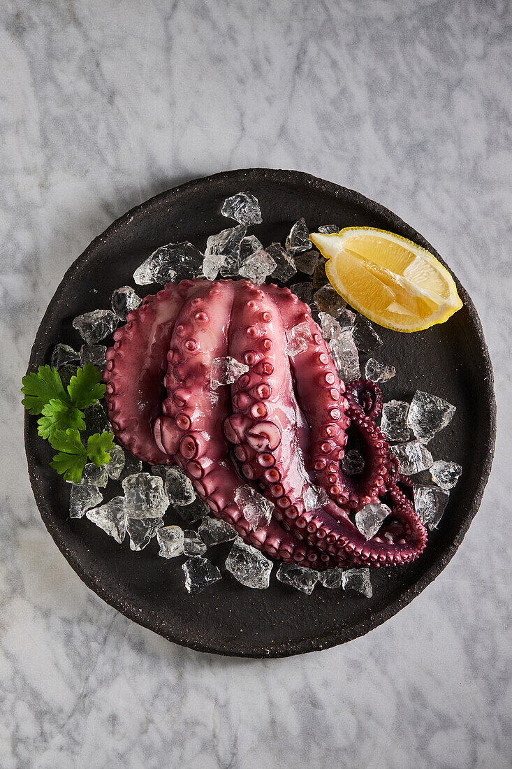 Draufsicht auf leckeren, appetitlich gekochten Oktopus auf rundem Keramikteller mit Eiswürfeln und Zitrone