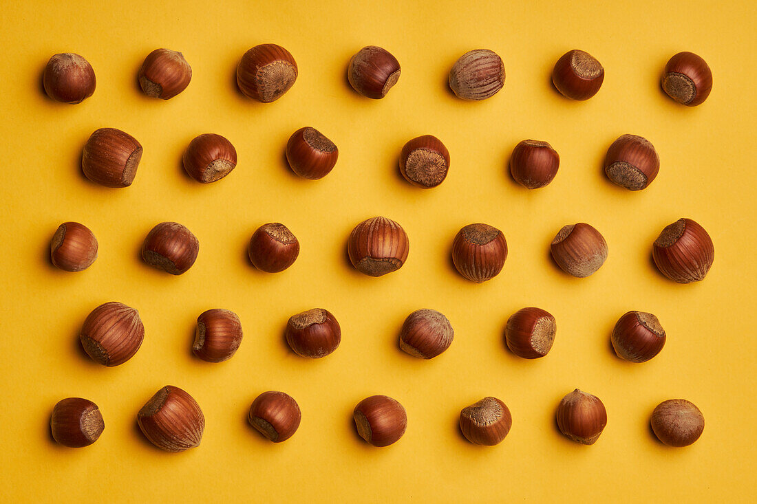 Top view of natural hazelnuts in shells arranged in lines on yellow background