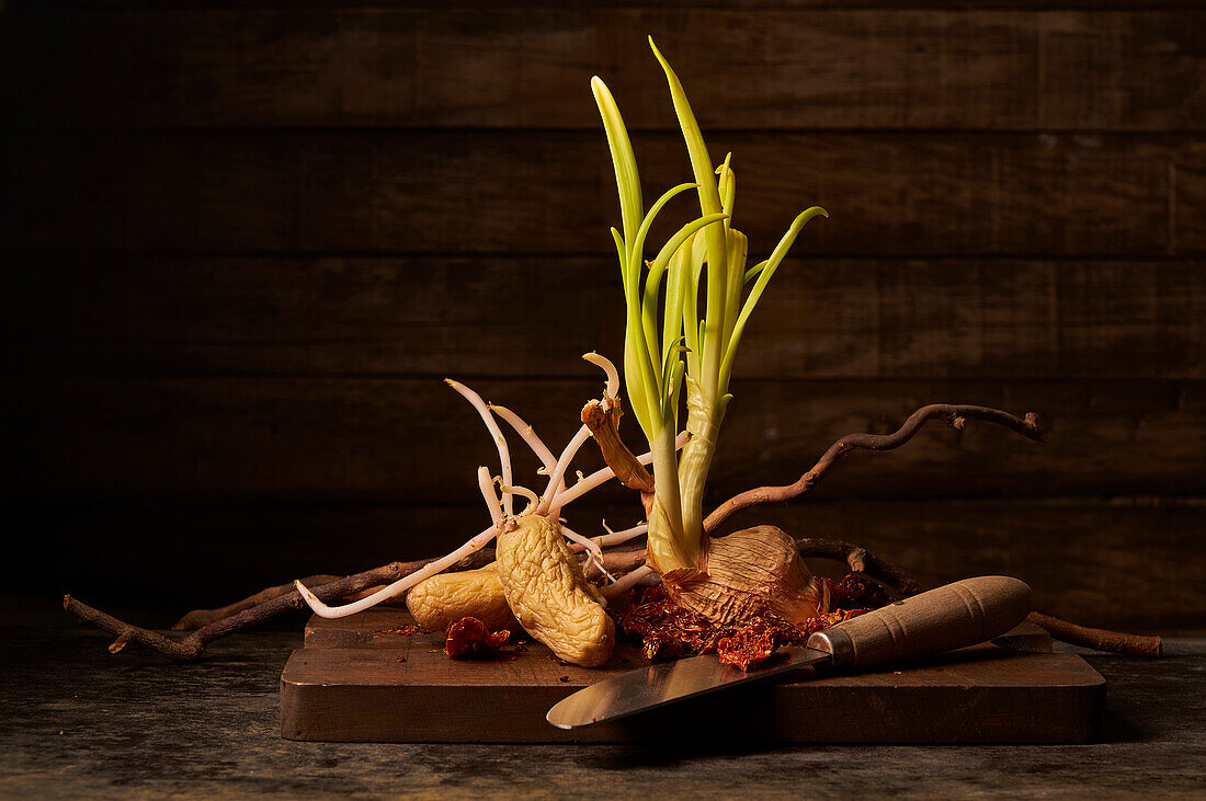 Still life composition with old geminated onion bulb and potato tuber with sprouts placed on wooden cutting board with knife and dried tomatoes