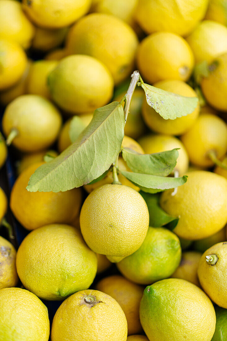Full frame pile of fresh lemons with green leaves placed on stall in local market with bright sunlight on summer day