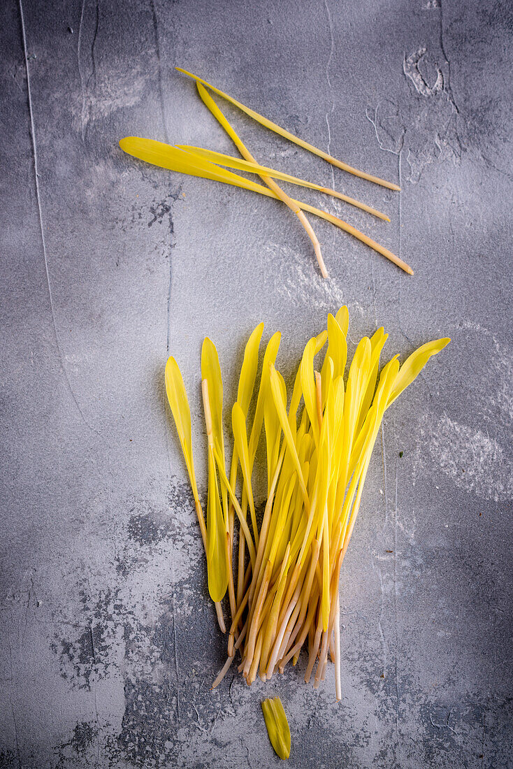 Top view of pile of gentle blooming yellow flower petals on gray background with blots