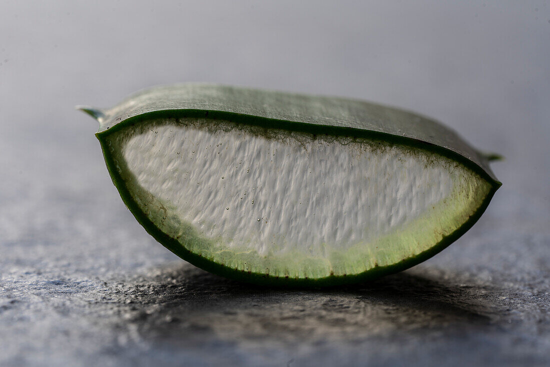 Closeup of cut aloe vera piece of leaf placed on table in studio
