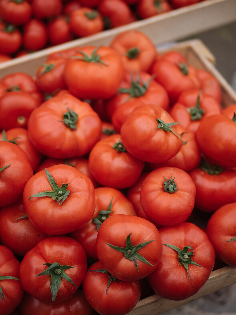 Von oben viele reife rote Tomaten in einem Container im Lebensmittelgeschäft