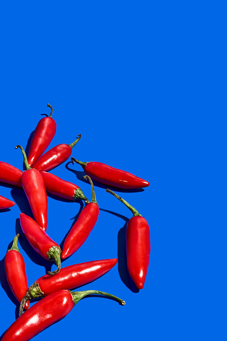 Draufsicht Komposition mit roten frischen exotischen Paprika als Gewürz oder Würze verwendet, um Essen auf blauem Hintergrund zu aromatisieren