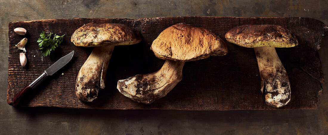 Top view of raw cut Boletus edulis mushrooms on wooden chopping board with garlic and parsley in light kitchen during cooking process