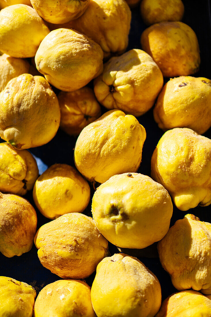 Von oben Vollbild Hintergrund Haufen von leckeren reifen gelben Quitten Früchte zusammen unter hellem Sonnenlicht in lokalen Markt gestapelt