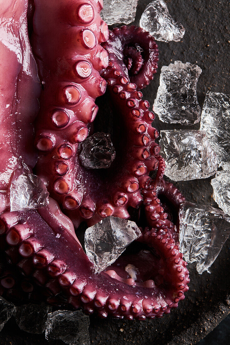 Draufsicht auf einen köstlichen, appetitlich zubereiteten Oktopus auf einem runden Keramikteller mit Eiswürfeln