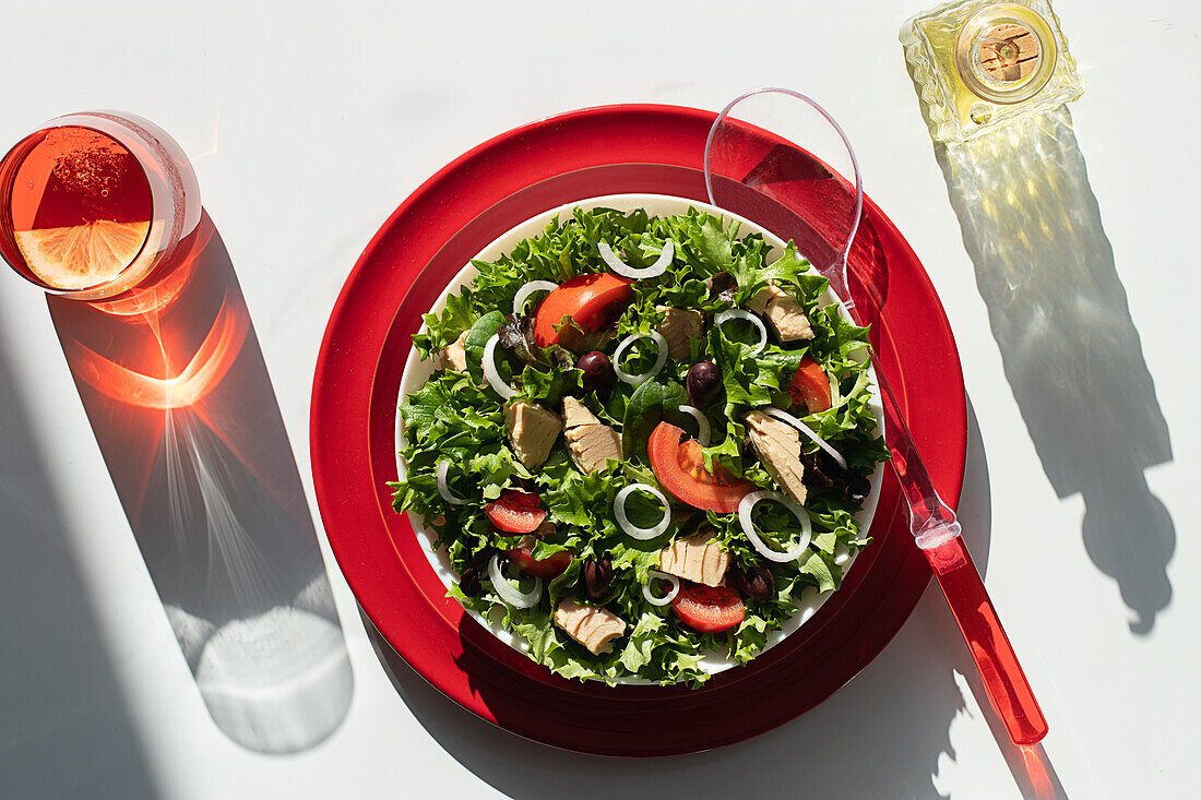 Von oben Thunfischsalat mit Zwiebeln und Tomaten, serviert auf roten Tellern auf weißem Hintergrund