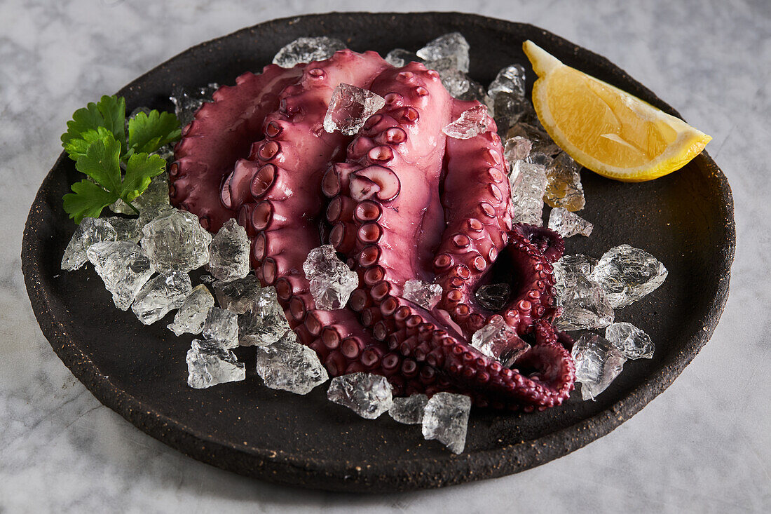 From above of delicious appetizing cooked octopus placed on round ceramic plate with ice cubes and lemon